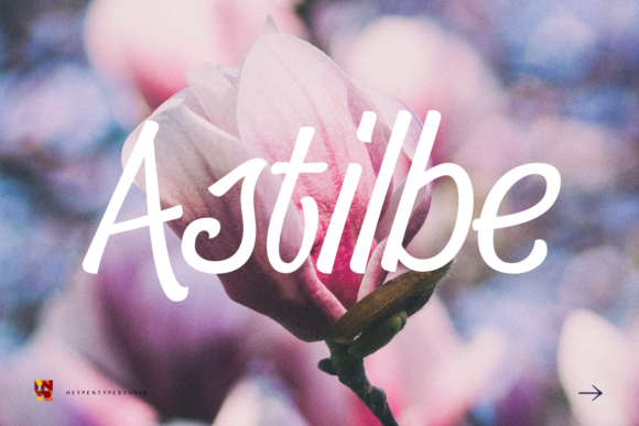 Astilbe Font: A Versatile Script Handwritten Choice
