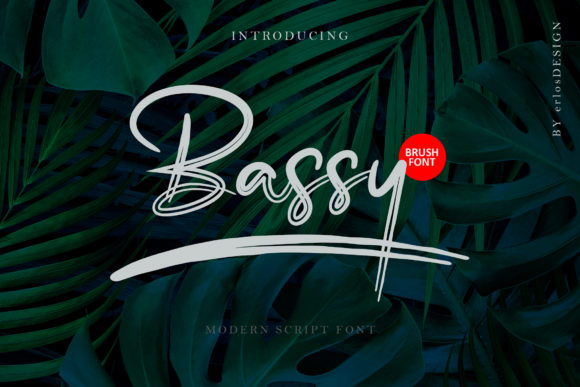 Bassy – A Stylish Script Font for Web Design