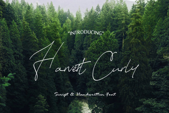 Harvest Curly: A Handwritten Font for Editorial Design