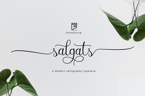 Salgats: Elegant Script Font for Digital Marketing and Branding